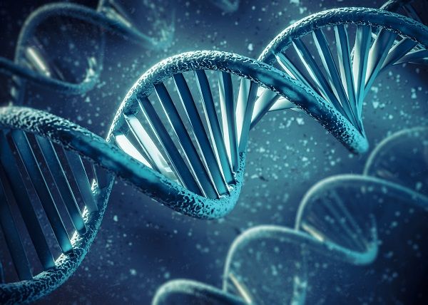ADN representando factores genéticos en la alopecia areata