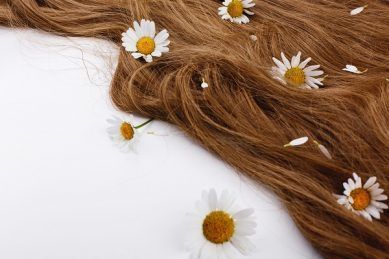 ¿Cómo encontrar un buen kit para el cuidado del cabello?
