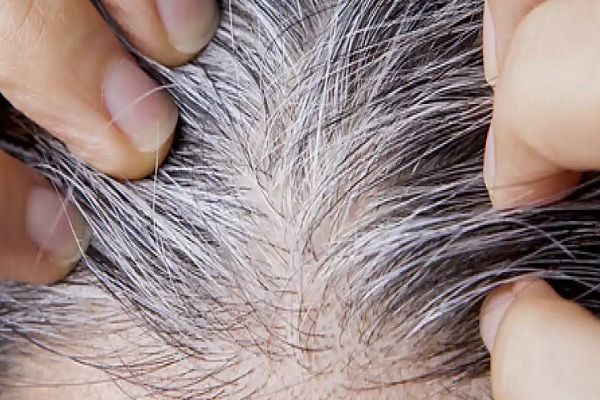 canas prematuras